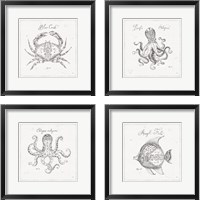 Framed 'Underwater Life 4 Piece Framed Art Print Set' border=