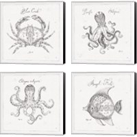 Framed 'Underwater Life 4 Piece Canvas Print Set' border=