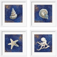 Framed 'Treasures from the Sea Indigo 4 Piece Framed Art Print Set' border=