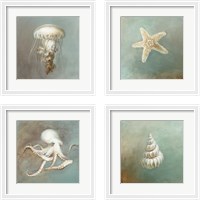 Framed 'Treasures from the Sea 4 Piece Framed Art Print Set' border=