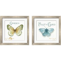 Framed 'My Greenhouse Butterflies 2 Piece Framed Art Print Set' border=