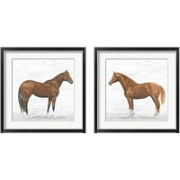 Framed 'Natural Charm  2 Piece Framed Art Print Set' border=