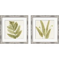 Framed 'Forest Ferns 2 Piece Framed Art Print Set' border=