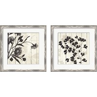 Framed 'Shadow on Wood 2 Piece Framed Art Print Set' border=