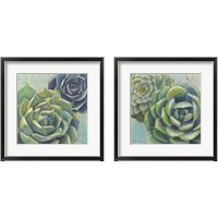 Framed 'Succulents  2 Piece Framed Art Print Set' border=