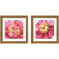 Framed 'Pink Garden 2 Piece Framed Art Print Set' border=