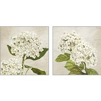 Framed 'Hydrangeas  2 Piece Art Print Set' border=