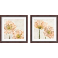 Framed 'Poppies in Pink 2 Piece Framed Art Print Set' border=