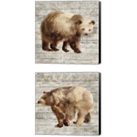 Framed 'Crossing Bear 2 Piece Canvas Print Set' border=