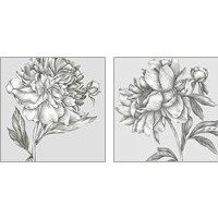 Framed 'Glorious Peony 2 Piece Art Print Set' border=