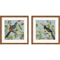 Framed 'Paradise Toucan 2 Piece Framed Art Print Set' border=