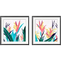 Framed 'Alpinia  2 Piece Framed Art Print Set' border=