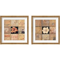 Framed 'Golden Light Composition 2 Piece Framed Art Print Set' border=