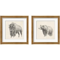 Framed 'Western Bear Study 2 Piece Framed Art Print Set' border=