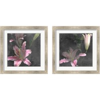 Framed 'Fleur de Lys 2 Piece Framed Art Print Set' border=