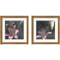 Framed 'Fleur de Lys 2 Piece Framed Art Print Set' border=