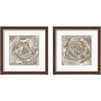 Framed Silver & Gold 2 Piece Framed Art Print Set