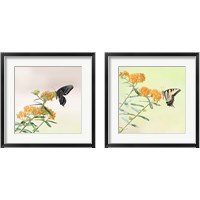 Framed 'Butterfly Portrait 2 Piece Framed Art Print Set' border=