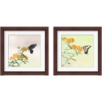 Framed 'Butterfly Portrait 2 Piece Framed Art Print Set' border=