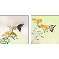 Framed 'Butterfly Portrait 2 Piece Art Print Set' border=