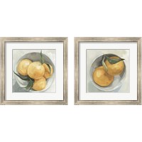 Framed 'Fruit Bowl 2 Piece Framed Art Print Set' border=