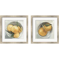 Framed 'Fruit Bowl 2 Piece Framed Art Print Set' border=