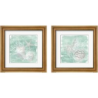 Framed 'Weathered Shell Assortment 2 Piece Framed Art Print Set' border=