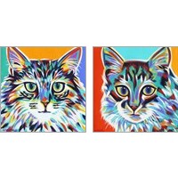 Framed 'Dramatic Cats 2 Piece Art Print Set' border=