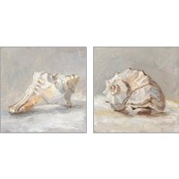 Framed 'Impressionist Shell Study 2 Piece Art Print Set' border=