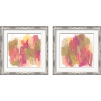 Framed 'Coral Borealis  2 Piece Framed Art Print Set' border=