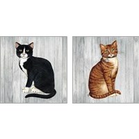 Framed 'Country Kitty on Wood 2 Piece Art Print Set' border=