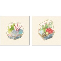 Framed 'Succulent Terrarium 2 Piece Art Print Set' border=