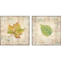 Framed 'Nature Walk Leaves 2 Piece Art Print Set' border=