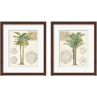 Framed Vintage Palm Study 2 Piece Framed Art Print Set