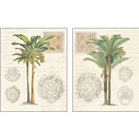 Framed 'Vintage Palm Study 2 Piece Art Print Set' border=
