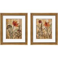 Framed 'Aquarelle Garden 2 Piece Framed Art Print Set' border=