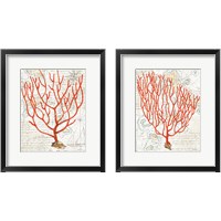 Framed 'Textured Coral 2 Piece Framed Art Print Set' border=