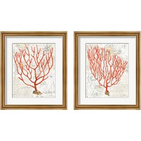 Framed 'Textured Coral 2 Piece Framed Art Print Set' border=