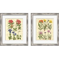 Framed 'Allegro 2 Piece Framed Art Print Set' border=