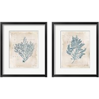 Framed 'Sea Garden 2 Piece Framed Art Print Set' border=