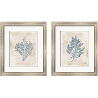 Framed 'Sea Garden 2 Piece Framed Art Print Set' border=