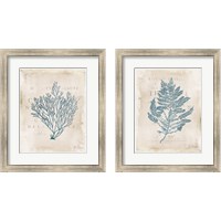 Framed 'Sea Garden 2 Piece Framed Art Print Set' border=