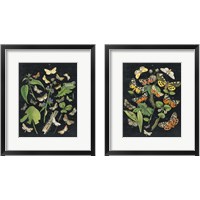 Framed 'Butterfly Bouquet on Black 2 Piece Framed Art Print Set' border=