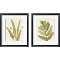 Framed 'Forest Ferns 2 Piece Framed Art Print Set' border=