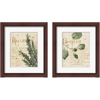 Framed 'Herb Study 2 Piece Framed Art Print Set' border=