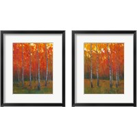 Framed 'Changing Colors 2 Piece Framed Art Print Set' border=