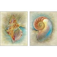 Framed 'Aquatica  2 Piece Art Print Set' border=