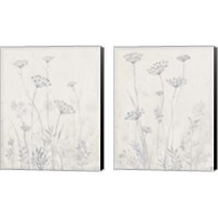 Framed 'Neutral Queen Anne's Lace 2 Piece Canvas Print Set' border=