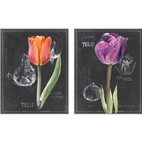 Framed 'Chalkboard Flower 2 Piece Art Print Set' border=