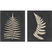 Framed 'Linen Fern 2 Piece Art Print Set' border=